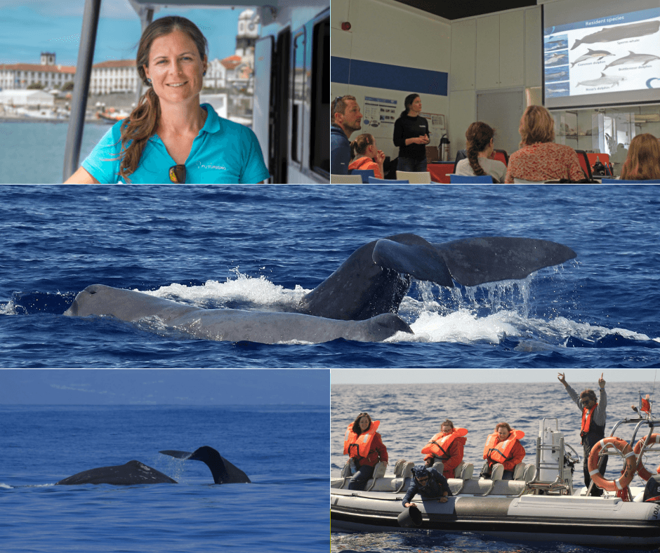 Expert Marine Biologist Guides