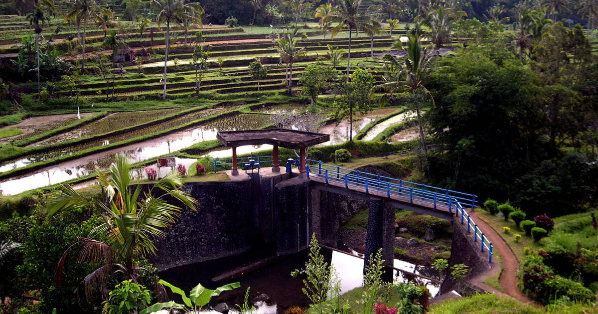 Subak Irrigation System