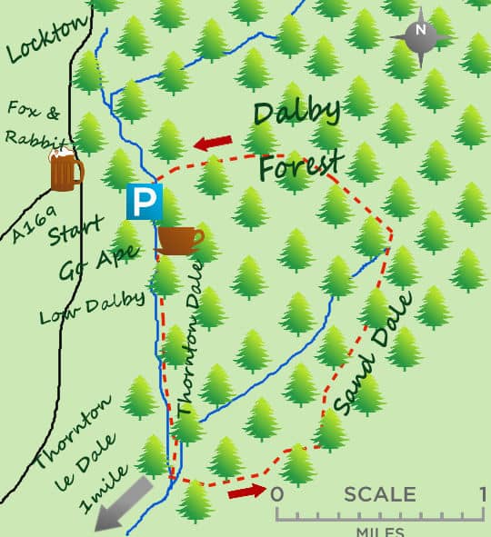 Scenic Walking Routes