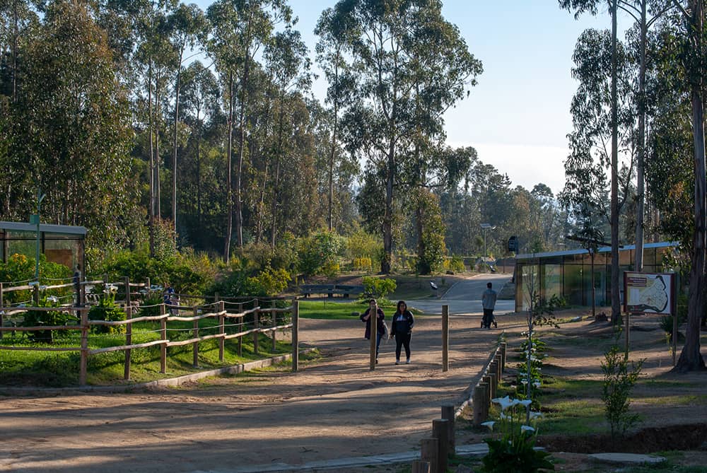 Nature Trails