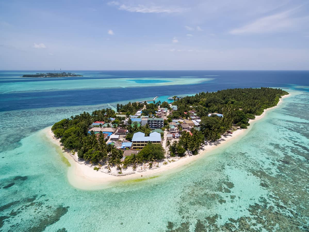 Pristine Palm-Lined Beaches