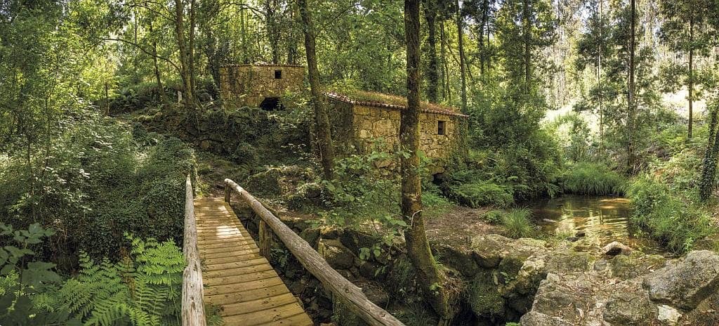 Botanical Trail