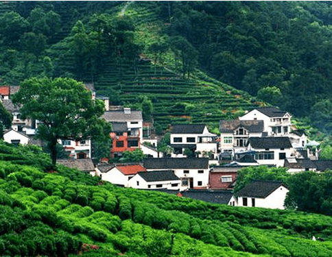 Traditional Tea Houses
