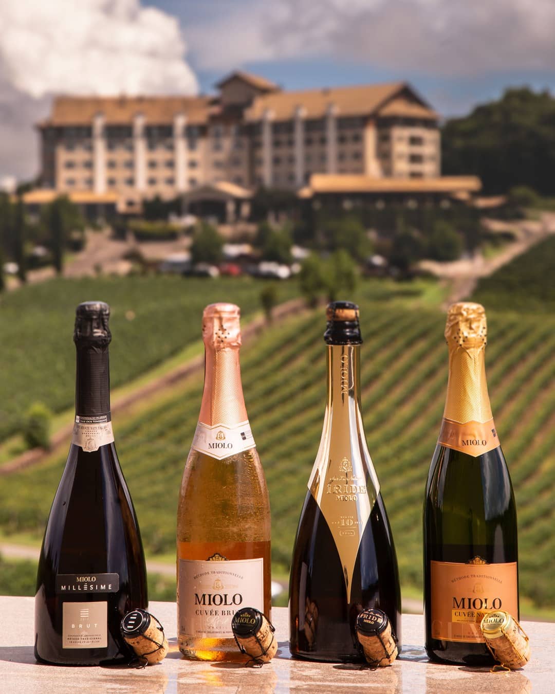 Wine Tasting Experience