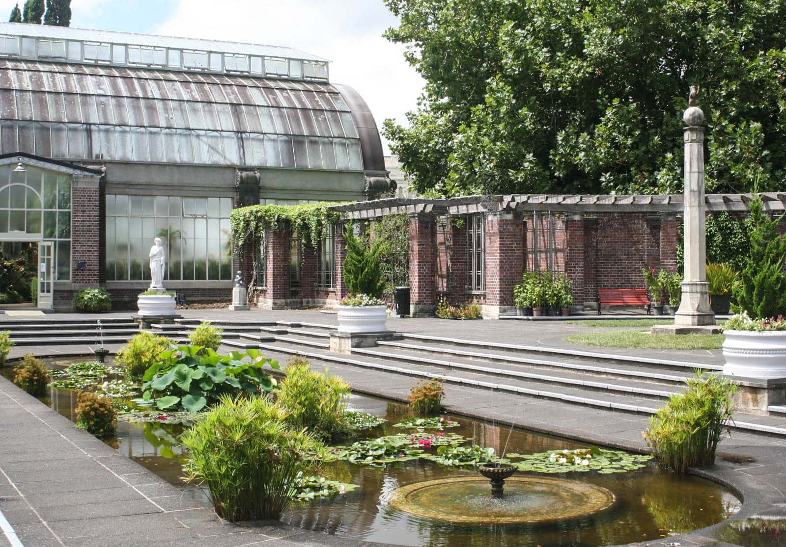 Fernery Oasis