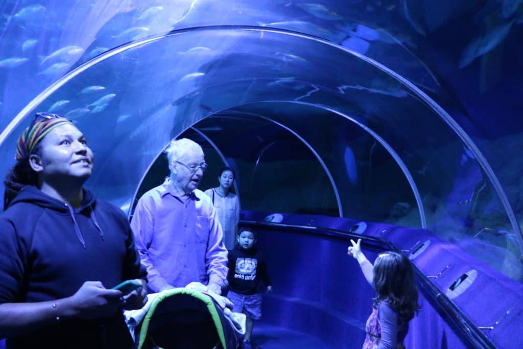 Aquarium of Western Australia
