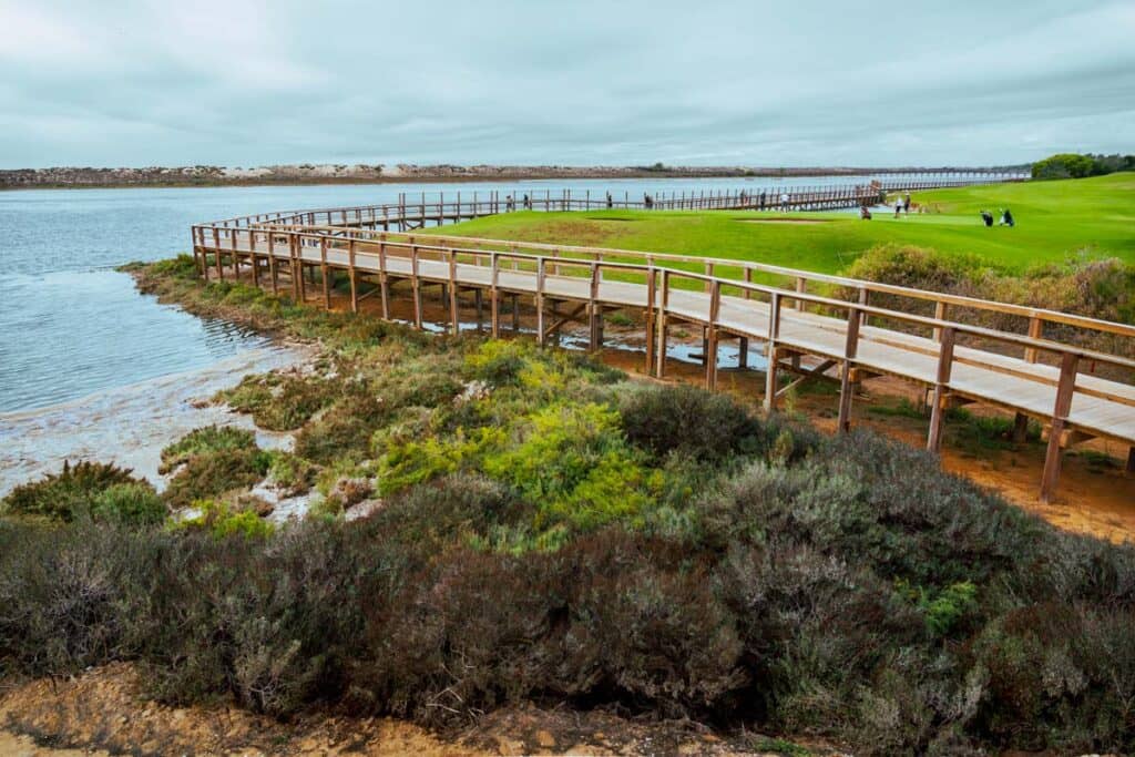 Coastal Boardwalks