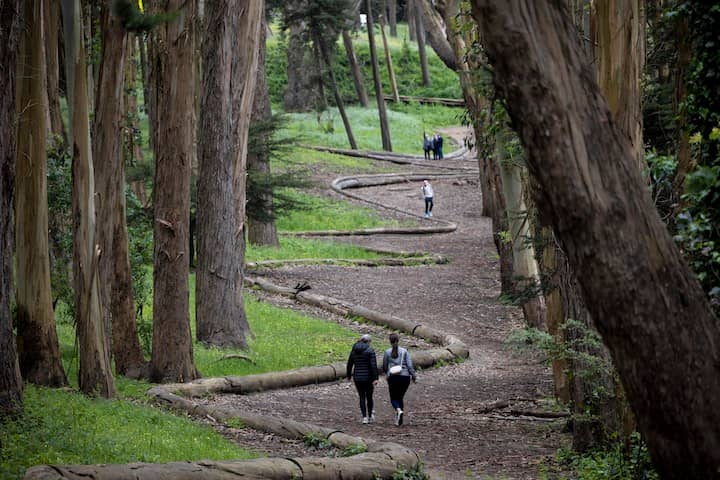 Lovers' Lane Trail