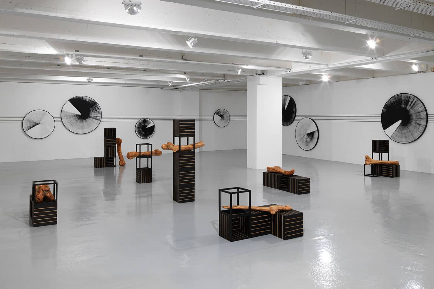 Intimate Gallery Experience