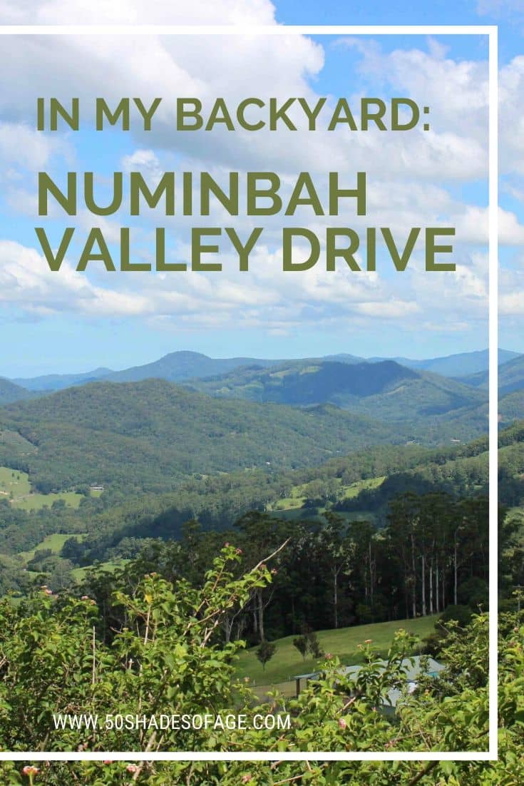 Scenic Drive Views