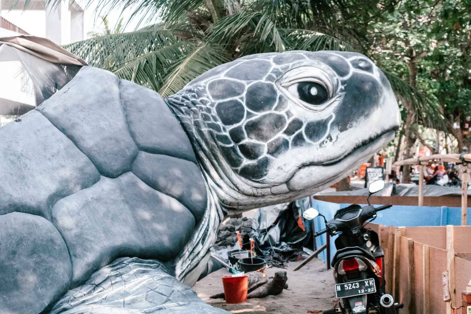 Conservation Efforts