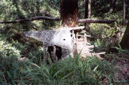 B-24J Liberator Crash Site