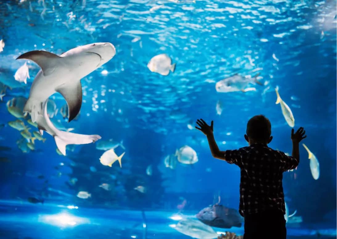 Indoor Aquarium & Butterfly House
