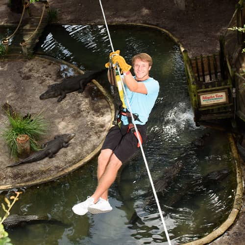 Zip Line Adventure