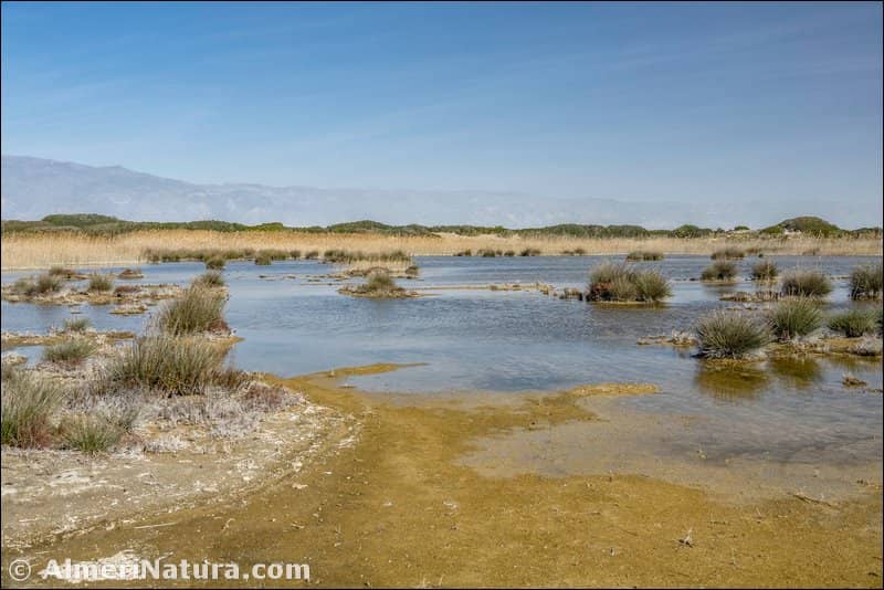 Sand Dunes