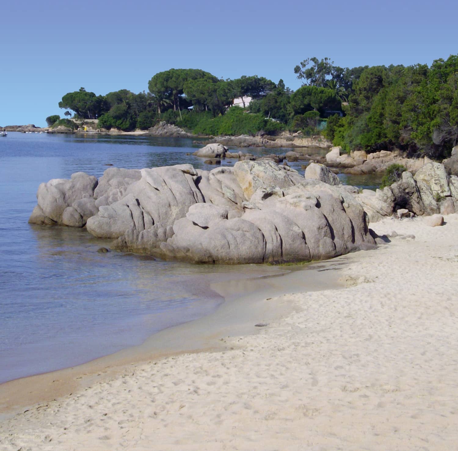 Intimate & Quiet Beach Vibe