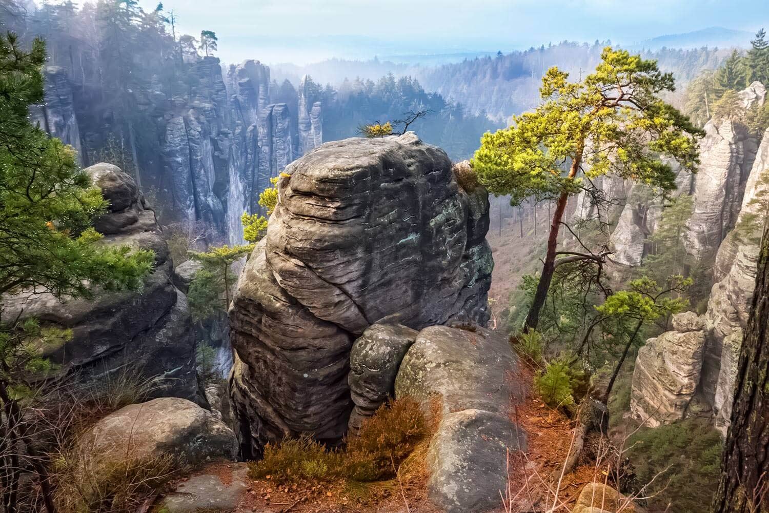Panoramic Viewpoints