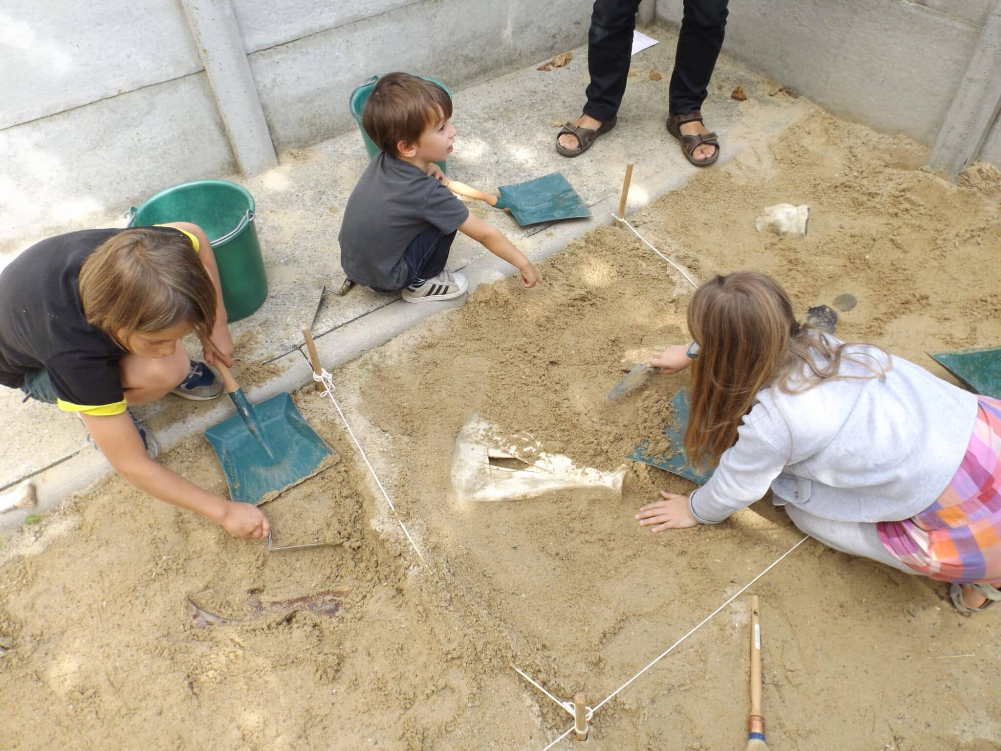 Family Fun Activities