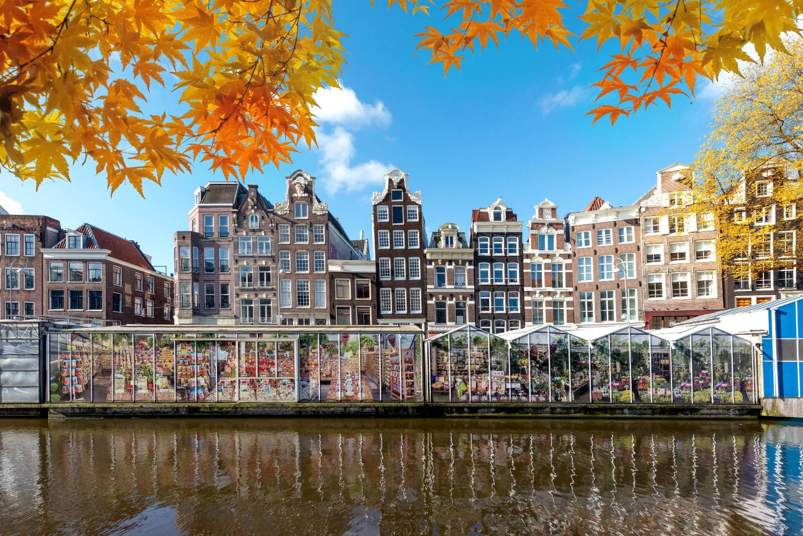 Canal Views