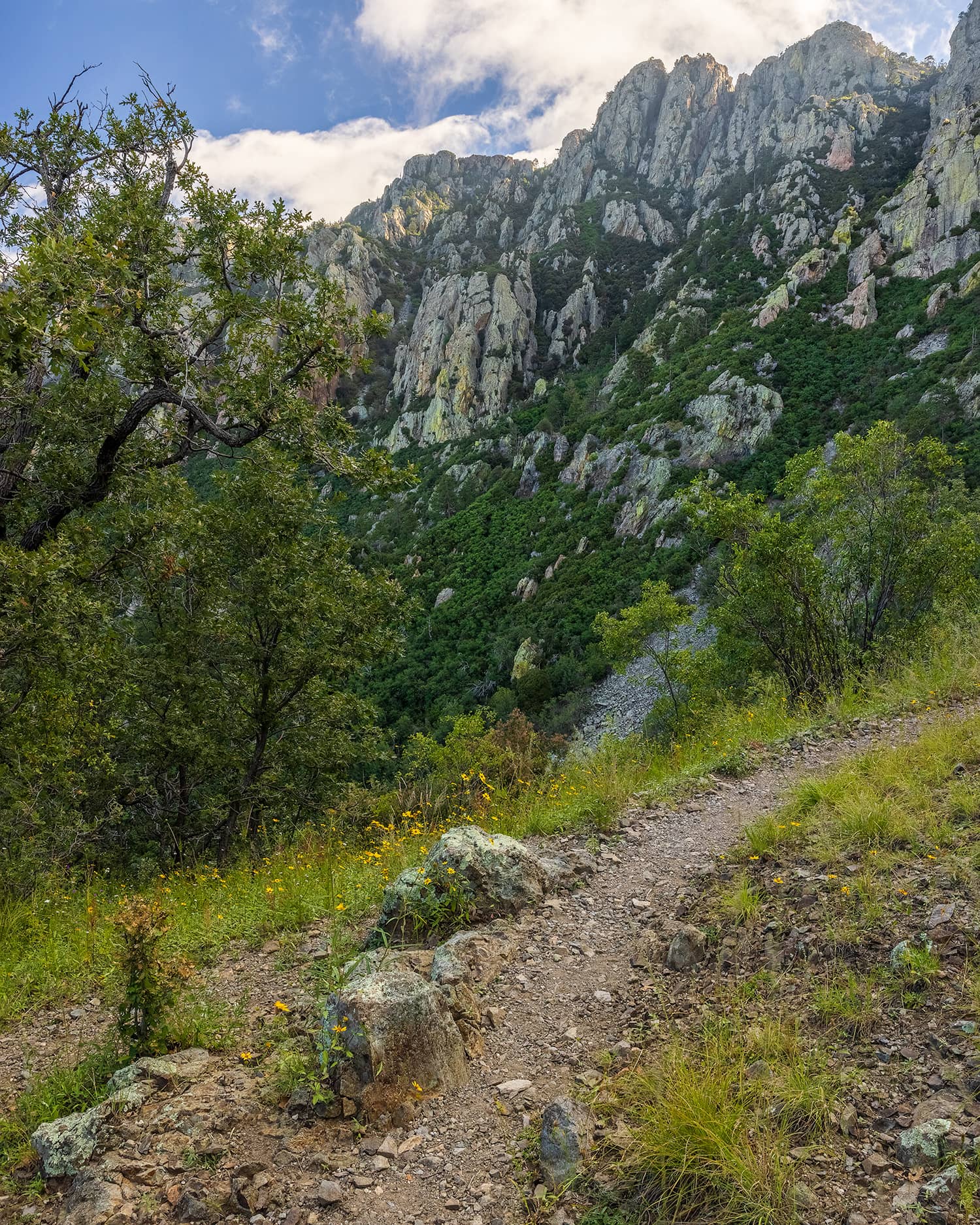 Old Baldy Trail
