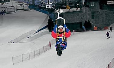 Zipline Adventure