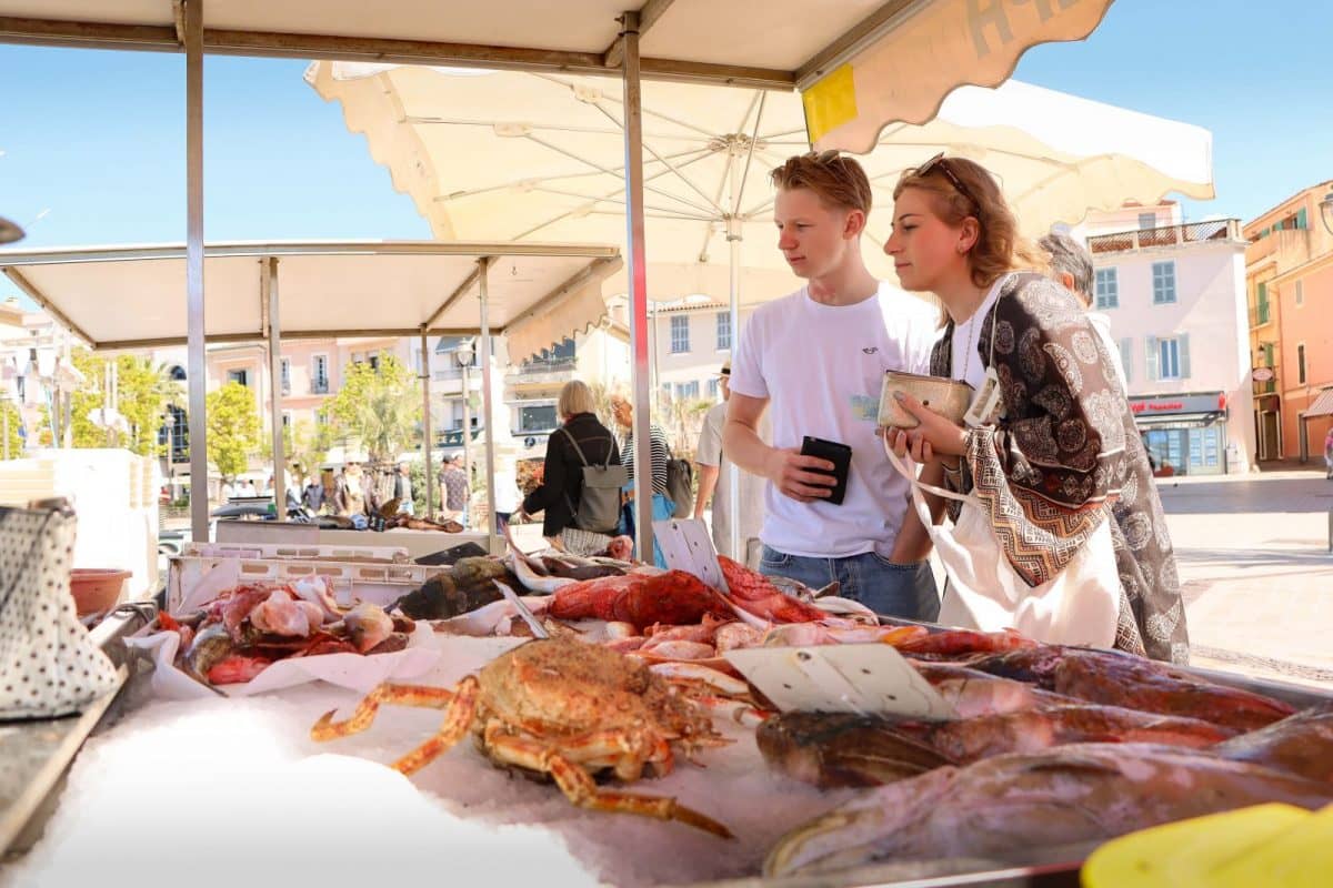The Lively Market