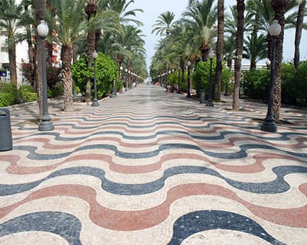 Palm Tree Lined Stroll