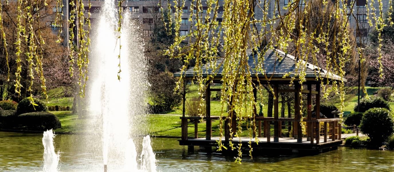 Charming Waterfall