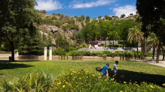 Lawn Areas for Picnics
