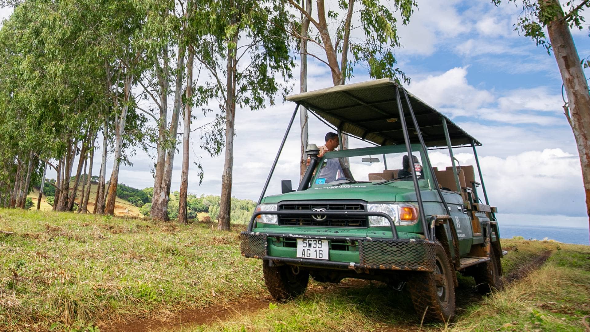 4x4 Safari Tour