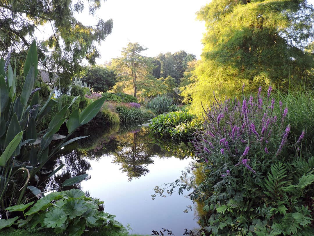 Water Garden