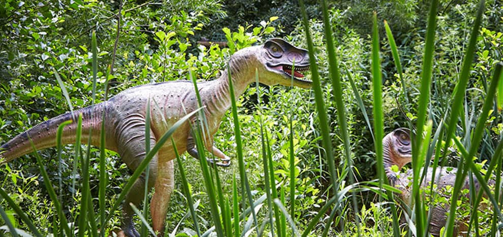Jurassic Journey