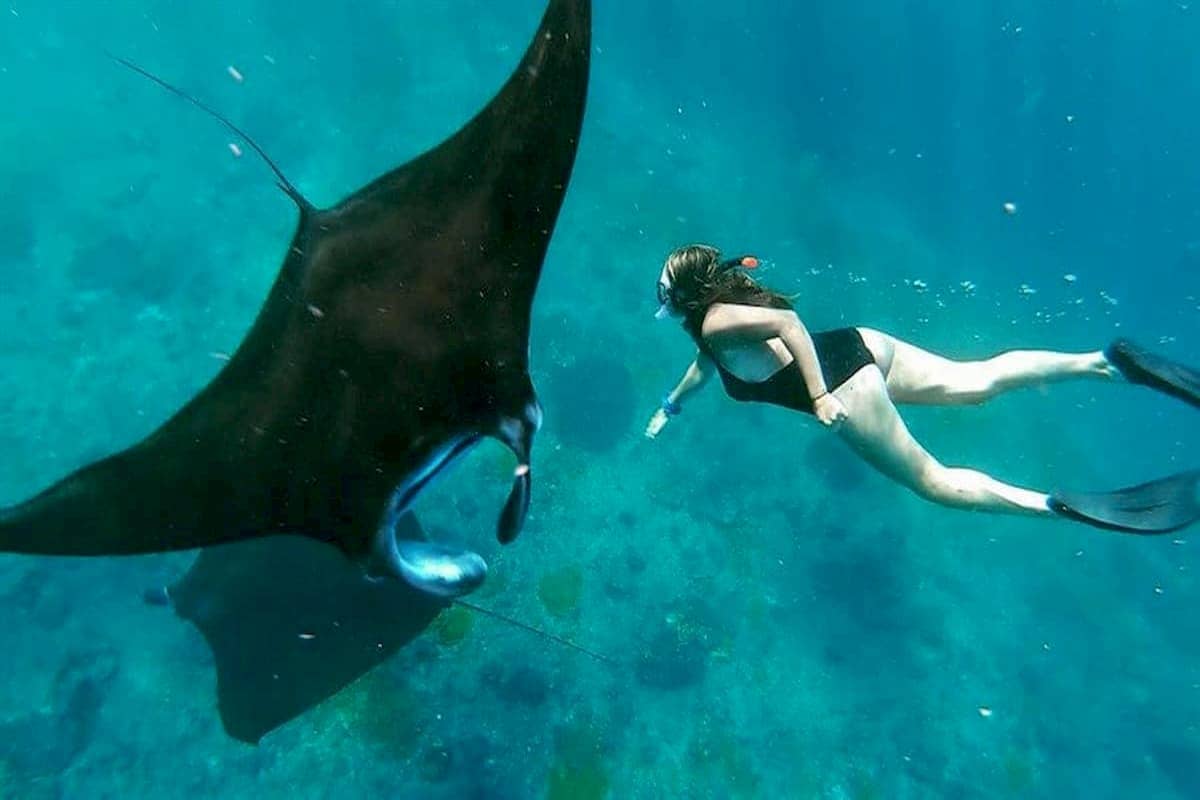 Manta Point