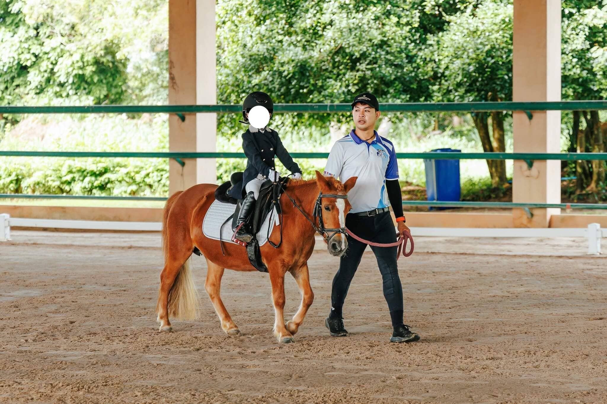 Horseback Riding Lessons