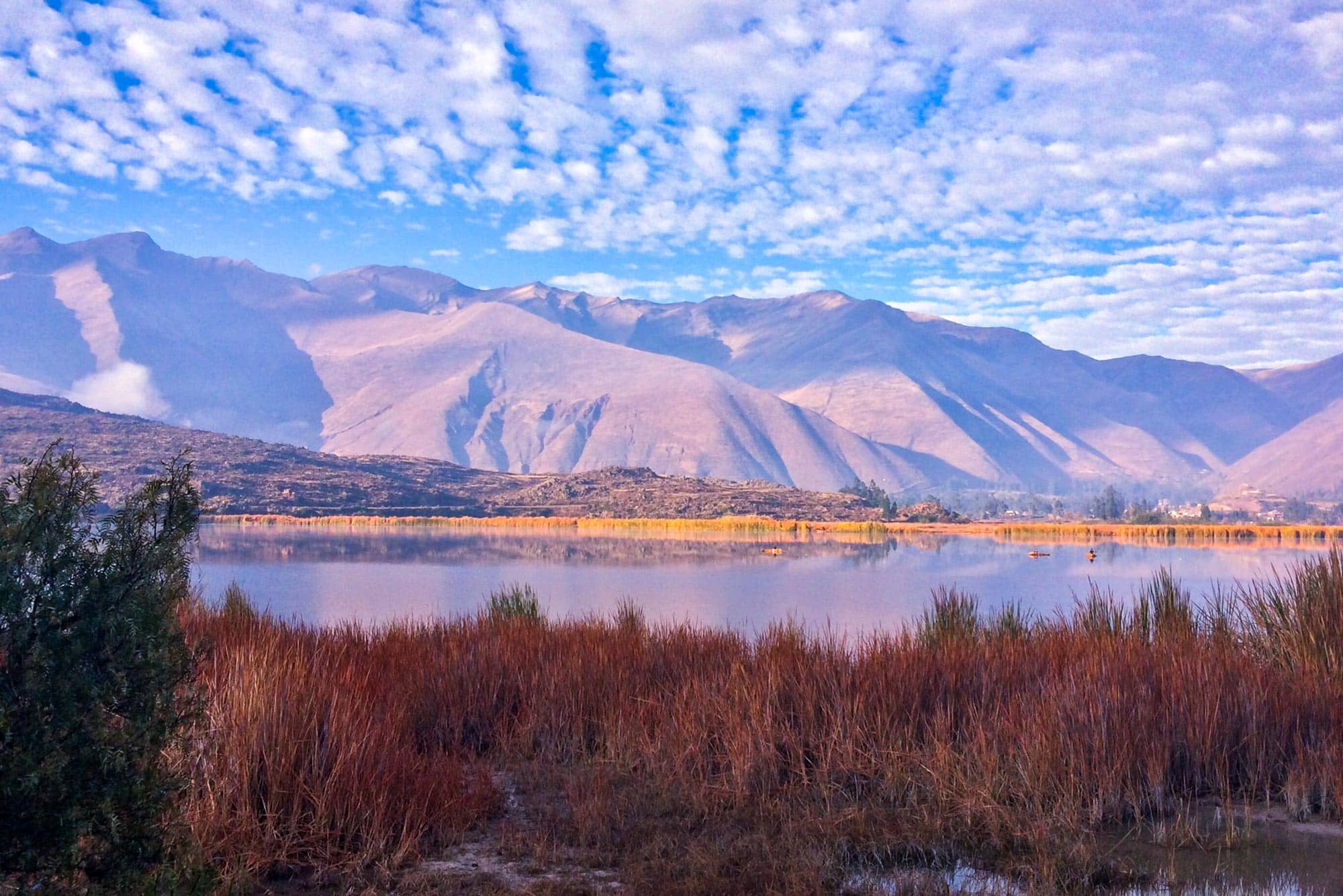 Stunning Wetland Landscapes