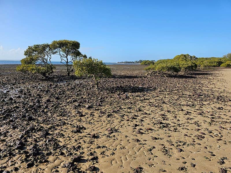 King Island Exploration
