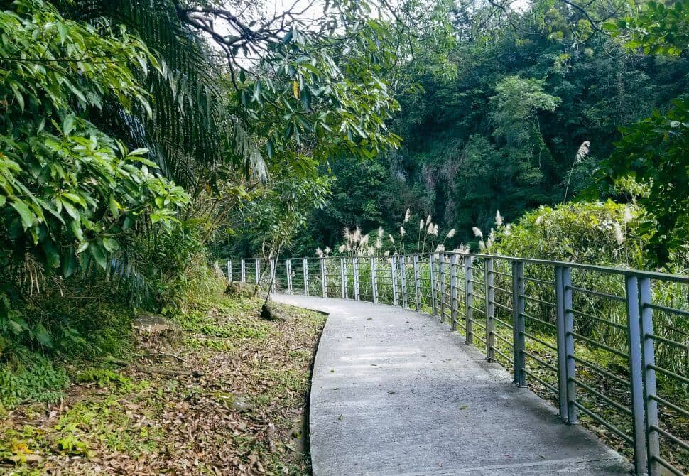 Pingxi Forest Trail