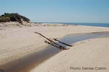 Secluded Beach Access
