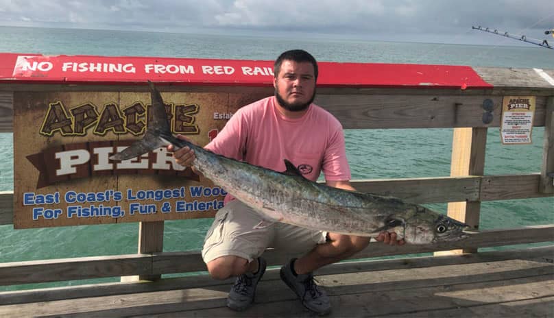 Kingfish Catches