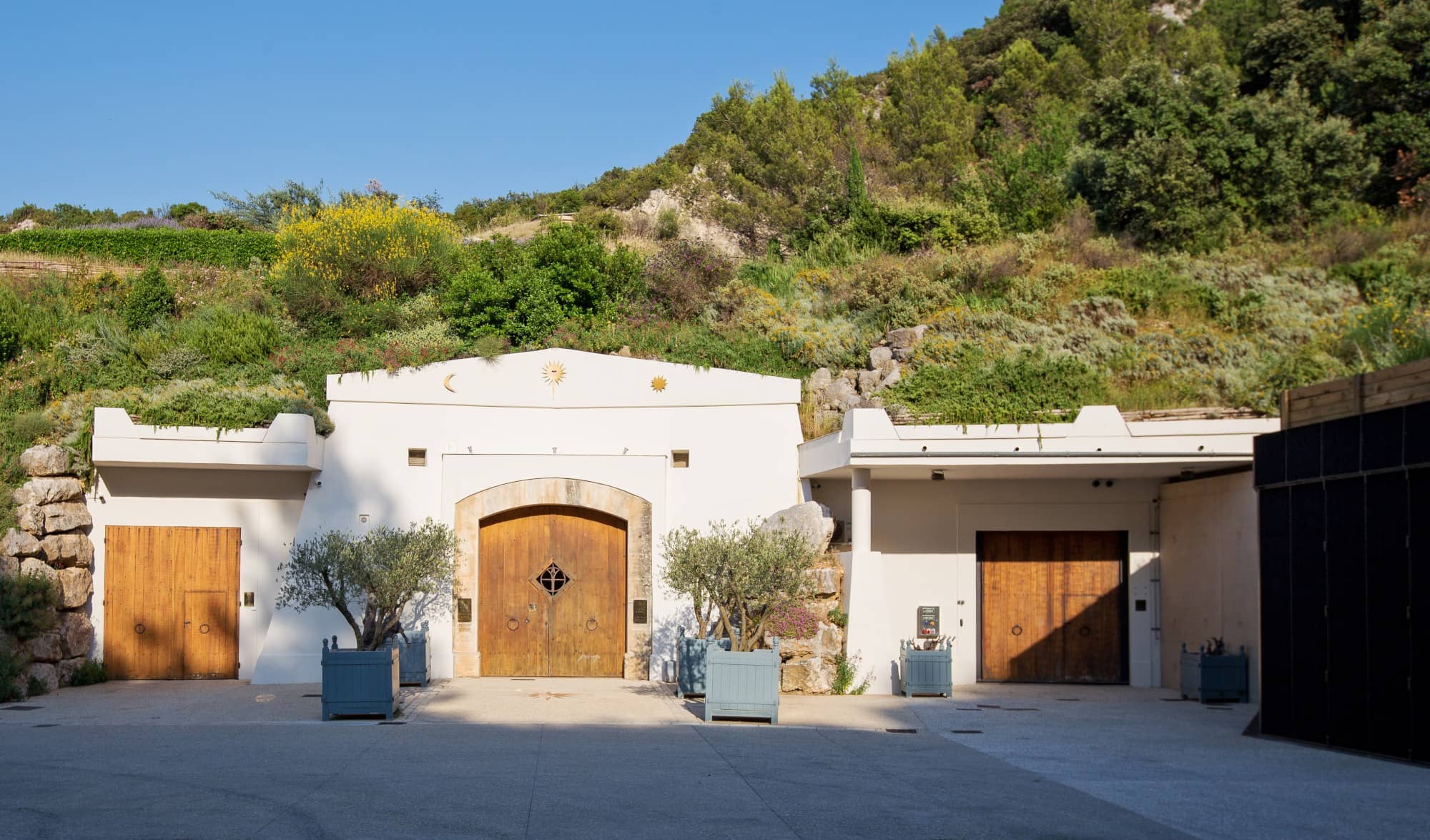 Wine Tasting Experience