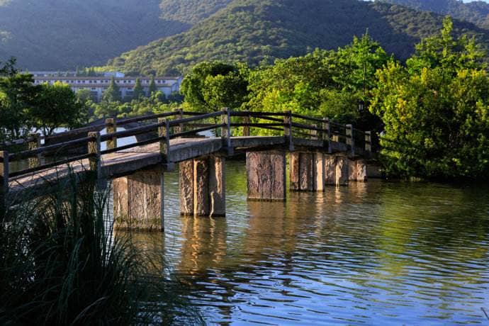 Lakeside Serenity