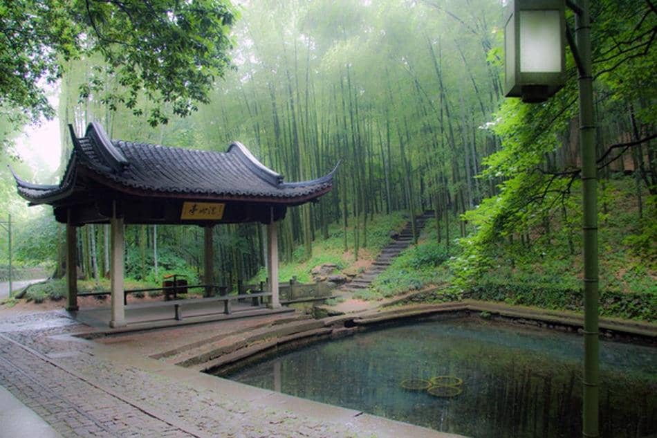 Tranquil Walking Trails
