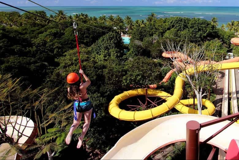 Zip Line Adventure