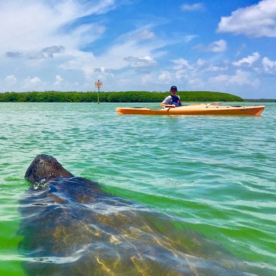 Kayaking & Paddleboarding Paradise