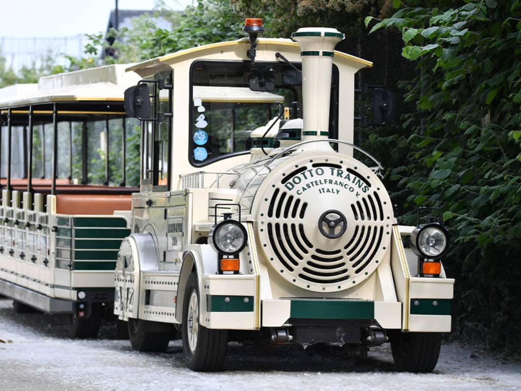 Scenic Zoo Train Ride