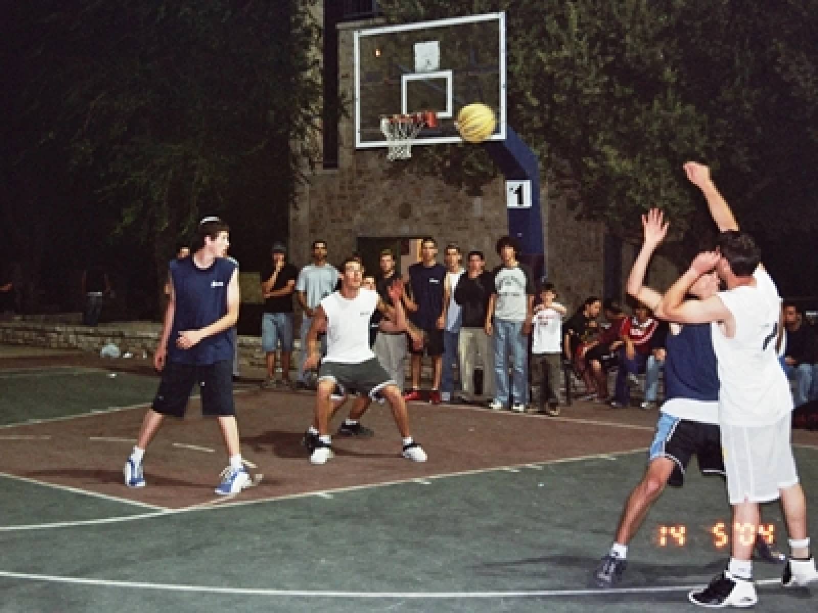 Sports Fields and Courts