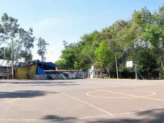 Basketball Courts