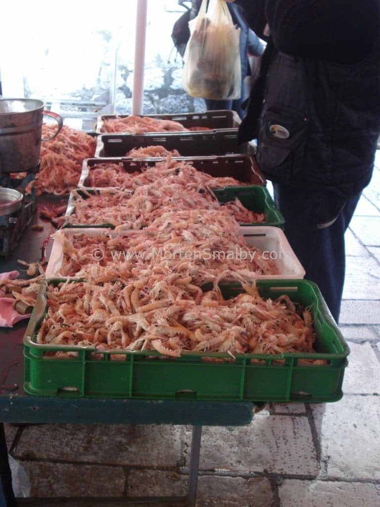 Delicious Prawns