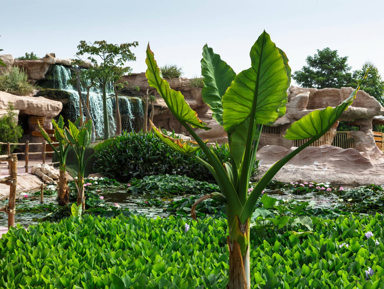 Exotic Botanical Gardens