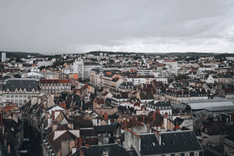 Hidden Rooftop Critters